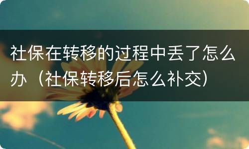 社保在转移的过程中丢了怎么办（社保转移后怎么补交）