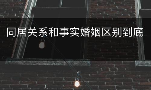 同居关系和事实婚姻区别到底