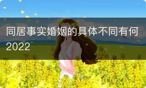 同居事实婚姻的具体不同有何2022