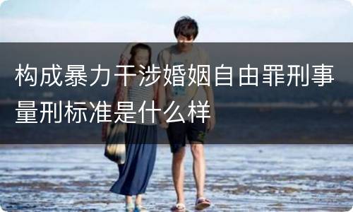 构成暴力干涉婚姻自由罪刑事量刑标准是什么样