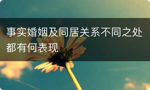 事实婚姻及同居关系不同之处都有何表现