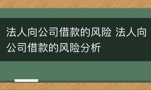 法人向公司借款的风险 法人向公司借款的风险分析