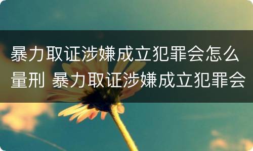 暴力取证涉嫌成立犯罪会怎么量刑 暴力取证涉嫌成立犯罪会怎么量刑呢