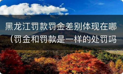 黑龙江罚款罚金差别体现在哪（罚金和罚款是一样的处罚吗）