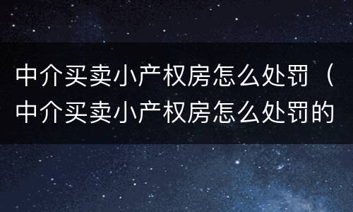 中介买卖小产权房怎么处罚（中介买卖小产权房怎么处罚的）