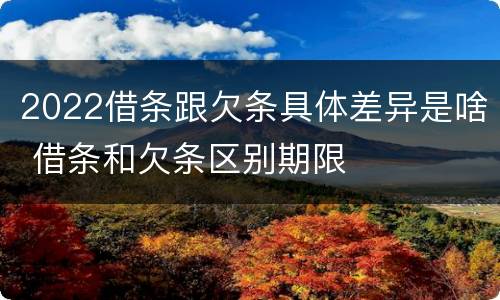2022借条跟欠条具体差异是啥 借条和欠条区别期限
