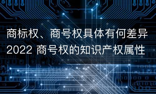 商标权、商号权具体有何差异2022 商号权的知识产权属性