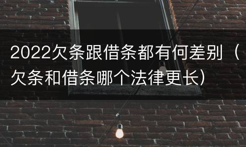 2022欠条跟借条都有何差别（欠条和借条哪个法律更长）