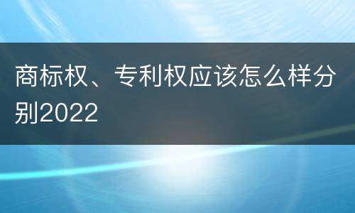商标权、专利权应该怎么样分别2022