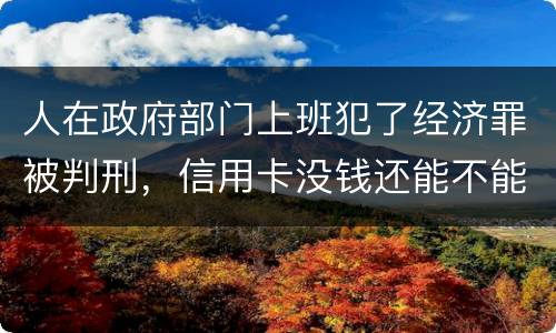 人在政府部门上班犯了经济罪被判刑，信用卡没钱还能不能向银行申请延缓还款期限