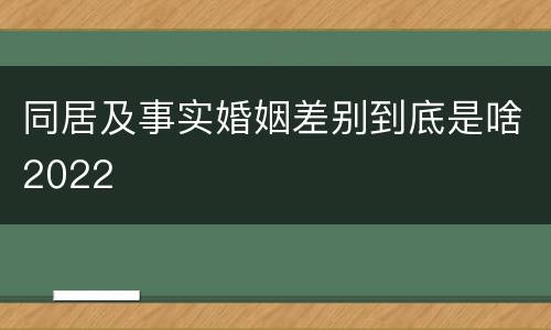 同居及事实婚姻差别到底是啥2022