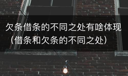 欠条借条的不同之处有啥体现（借条和欠条的不同之处）