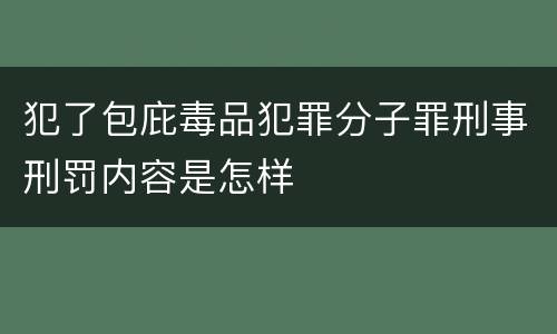 犯了包庇毒品犯罪分子罪刑事刑罚内容是怎样