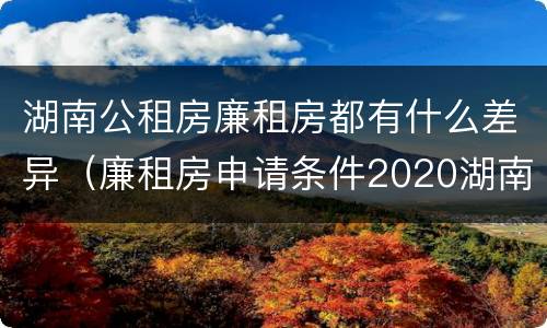湖南公租房廉租房都有什么差异（廉租房申请条件2020湖南）