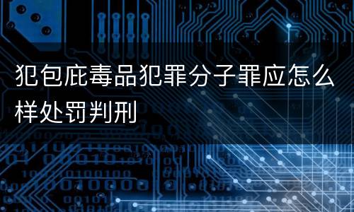 犯包庇毒品犯罪分子罪应怎么样处罚判刑