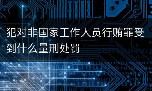 犯对非国家工作人员行贿罪受到什么量刑处罚