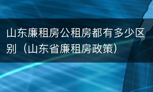 山东廉租房公租房都有多少区别（山东省廉租房政策）