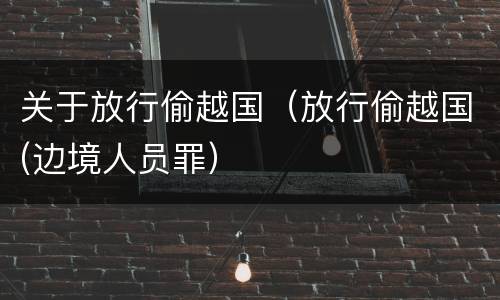 关于放行偷越国（放行偷越国(边境人员罪）