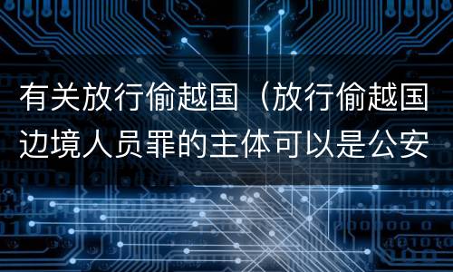 有关放行偷越国（放行偷越国边境人员罪的主体可以是公安民警吗）