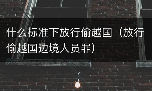 什么标准下放行偷越国（放行偷越国边境人员罪）