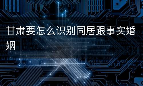 甘肃要怎么识别同居跟事实婚姻