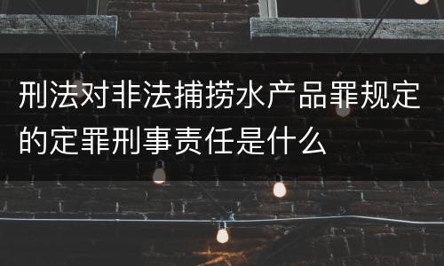 刑法对非法捕捞水产品罪规定的定罪刑事责任是什么