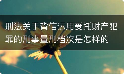 刑法关于背信运用受托财产犯罪的刑事量刑档次是怎样的