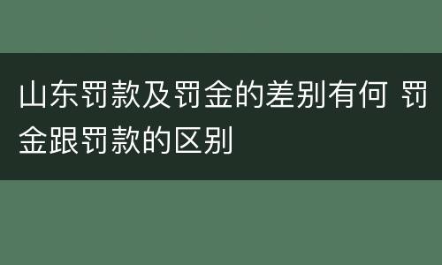 山东罚款及罚金的差别有何 罚金跟罚款的区别