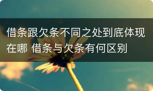 借条跟欠条不同之处到底体现在哪 借条与欠条有何区别