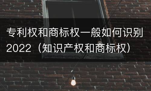 专利权和商标权一般如何识别2022（知识产权和商标权）