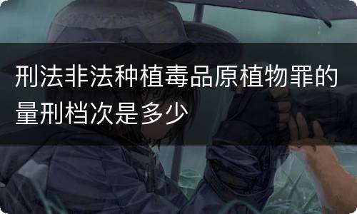 刑法非法种植毒品原植物罪的量刑档次是多少