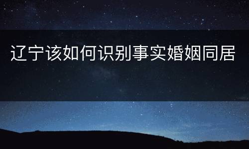 辽宁该如何识别事实婚姻同居
