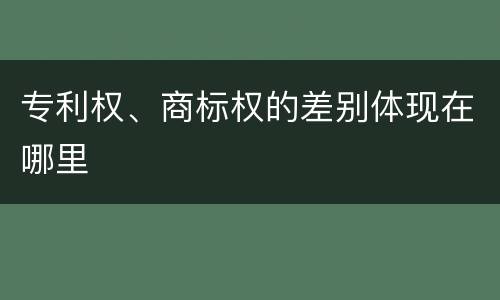 专利权、商标权的差别体现在哪里