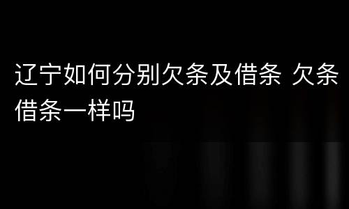 辽宁如何分别欠条及借条 欠条借条一样吗