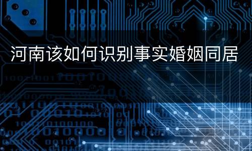 河南该如何识别事实婚姻同居