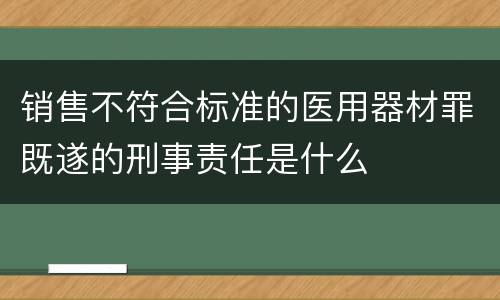 销售不符合标准的医用器材罪既遂的刑事责任是什么