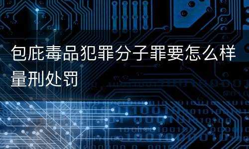 包庇毒品犯罪分子罪要怎么样量刑处罚