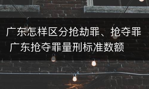 广东怎样区分抢劫罪、抢夺罪 广东抢夺罪量刑标准数额