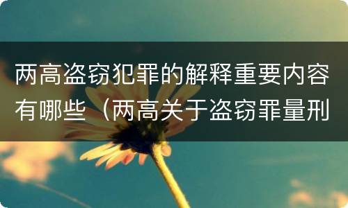 两高盗窃犯罪的解释重要内容有哪些（两高关于盗窃罪量刑数额）
