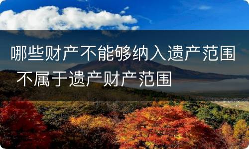 哪些财产不能够纳入遗产范围 不属于遗产财产范围