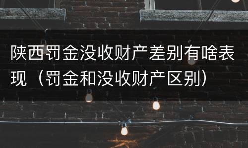 陕西罚金没收财产差别有啥表现（罚金和没收财产区别）