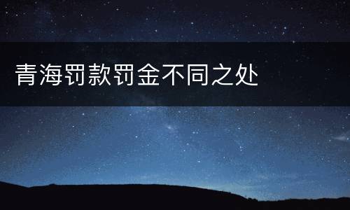 青海罚款罚金不同之处