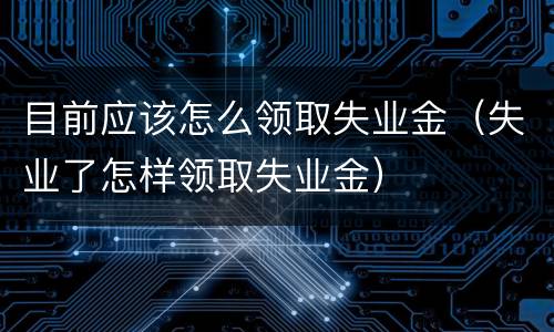 目前应该怎么领取失业金（失业了怎样领取失业金）
