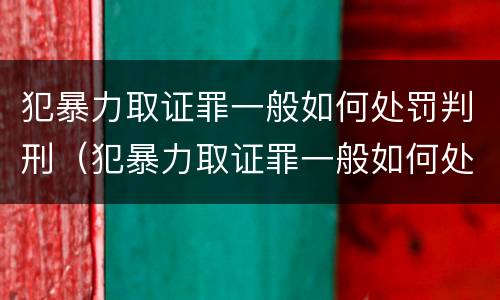 犯暴力取证罪一般如何处罚判刑（犯暴力取证罪一般如何处罚判刑的）