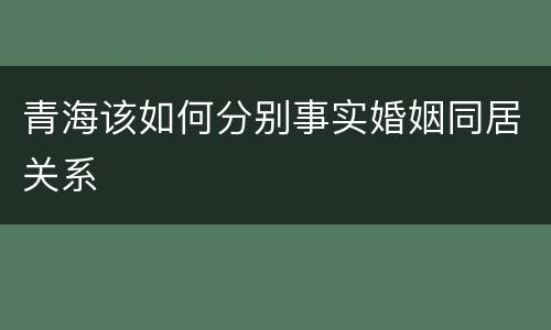 青海该如何分别事实婚姻同居关系