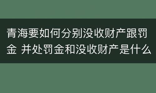 青海要如何分别没收财产跟罚金 并处罚金和没收财产是什么意思