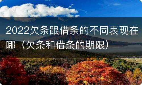 2022欠条跟借条的不同表现在哪（欠条和借条的期限）