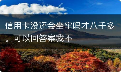 信用卡没还会坐牢吗才八千多。可以回答案我不