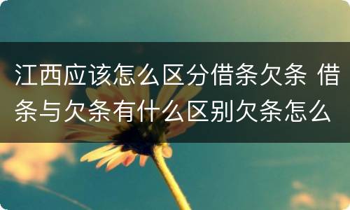 江西应该怎么区分借条欠条 借条与欠条有什么区别欠条怎么写
