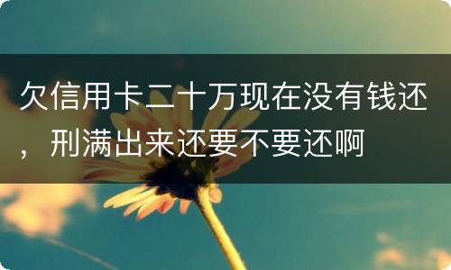 欠信用卡二十万现在没有钱还，刑满出来还要不要还啊